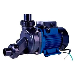 Motobomba Hidromassagem 1.0CV 220V 60Hz Eletroplas Ech-100I